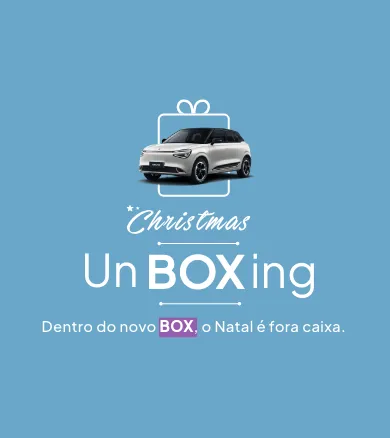 dongfeng box